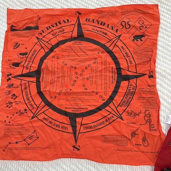 Set of four bandanas - two Disney, one Thomas the Train, one Survival Tips - Picture 9 of 16